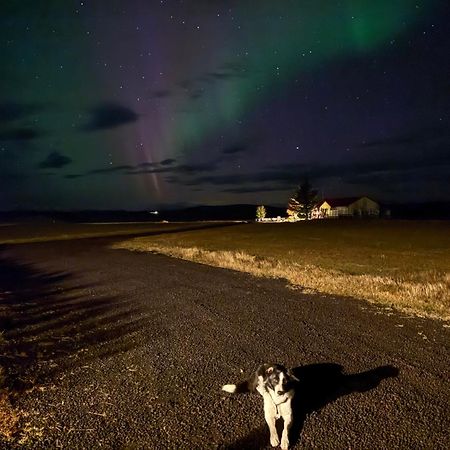 Fossar Villa Kirkjubaejarklaustur Bagian luar foto